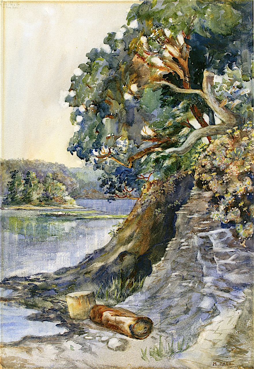 EmilyCarr_ArbutusTree