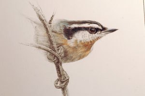 tam_aug09_drawingboard10