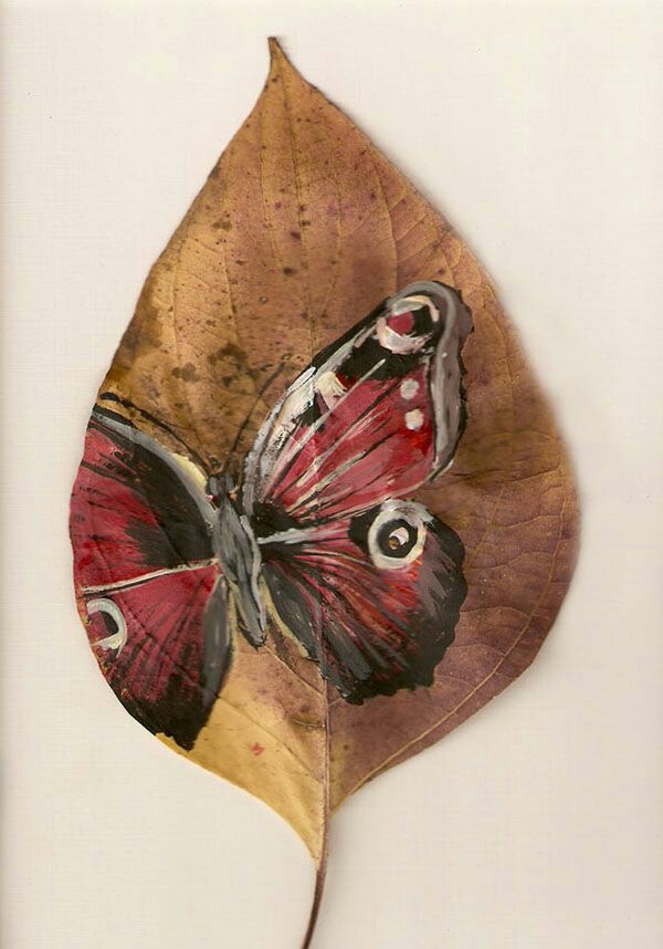 58084ae7bff9437b898a3b439d8ad5aa