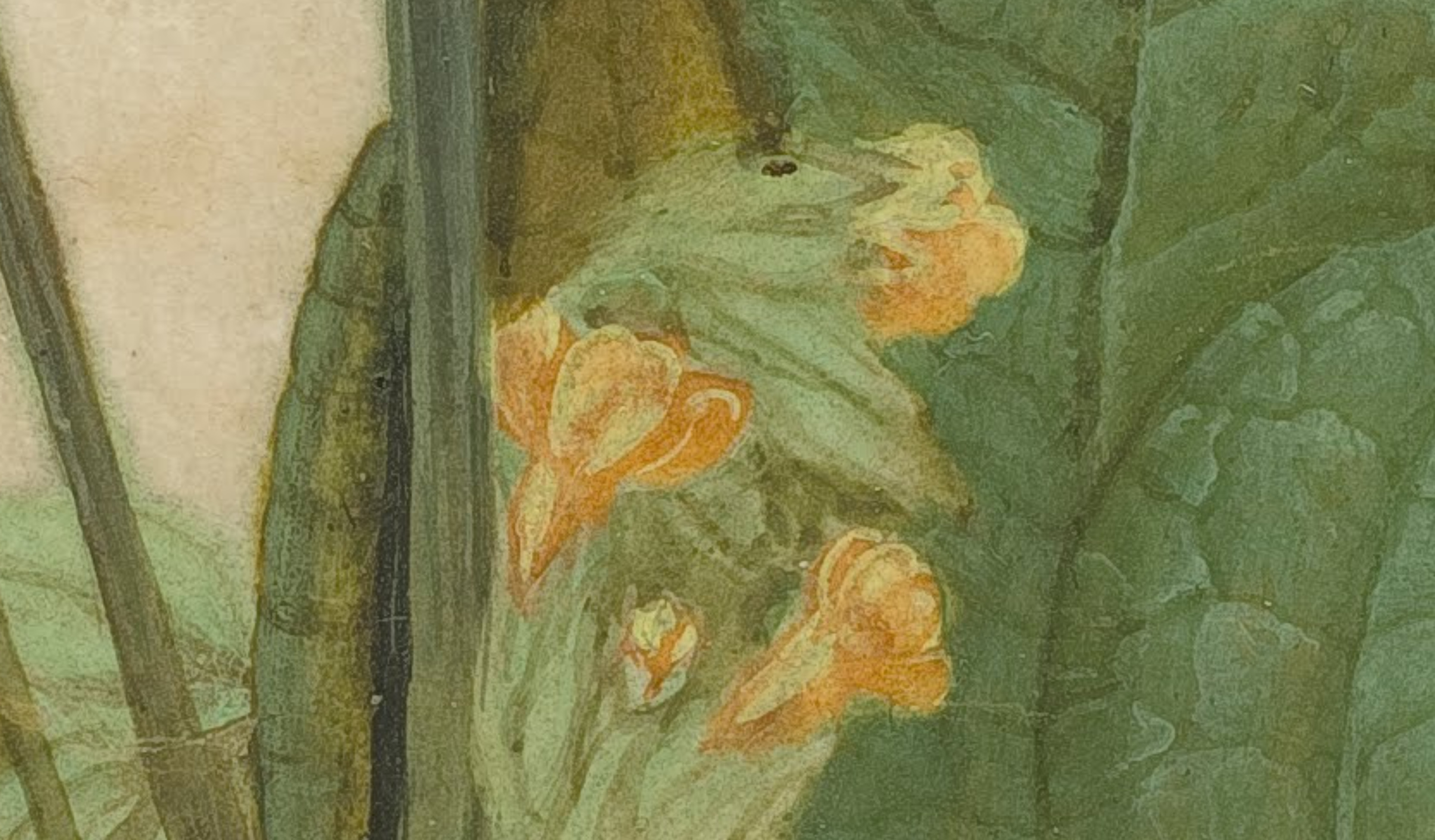 14Screenshot_2018-11-25 Albrecht_Dürer_-_Tuft_of_Cowslips_-_Google_Art_Project jpg (JPEG Image, 3574 × 4145 pixels)