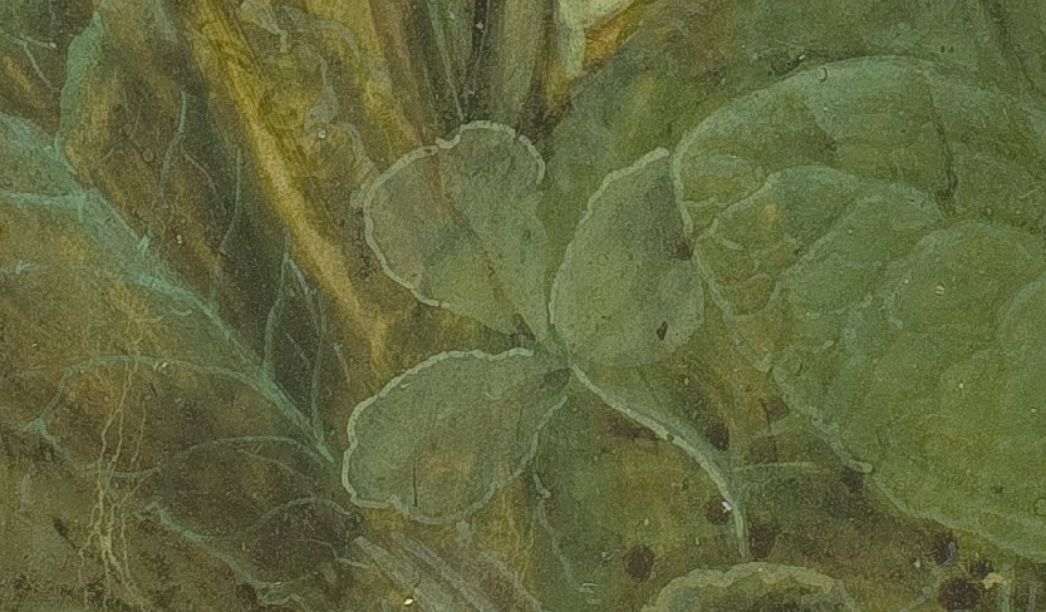 20Screenshot_2018-11-25 Albrecht_Dürer_-_Tuft_of_Cowslips_-_Google_Art_Project jpg (JPEG Image, 3574 × 4145 pixels)